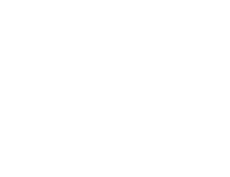 border-shape